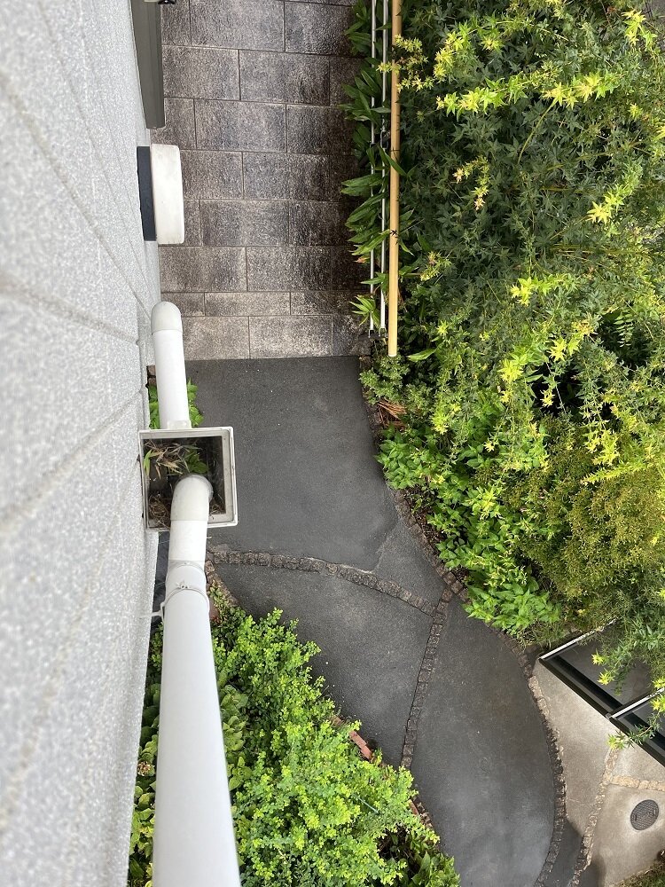 雨どい詰まり (4).JPG